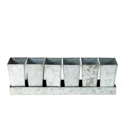 Galvanised Tray With 6 Tall Root Trainer Pods -Ever Bloom Gardens pr2000037489 card6 lg