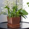 Square Copper Pot And Saucer -Ever Bloom Gardens pr2000037495