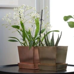 Square Copper Pot And Saucer -Ever Bloom Gardens pr2000037495 card3 lg