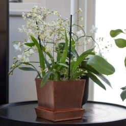 Square Copper Pot And Saucer -Ever Bloom Gardens pr2000037495 card6 lg