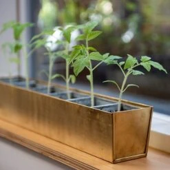 Brass Windowsill Tray With 6 Grow Pods -Ever Bloom Gardens pr2000037506 card5 lg