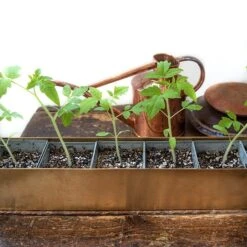 Brass Windowsill Tray With 6 Grow Pods -Ever Bloom Gardens pr2000037506 card6 lg