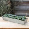 Galvanised Tray With 12 Large Grow Pods -Ever Bloom Gardens pr2000037508