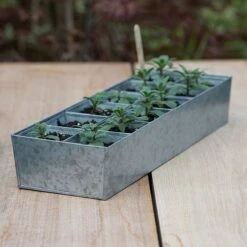 Galvanised Tray With 12 Large Grow Pods -Ever Bloom Gardens pr2000037508 card3 lg