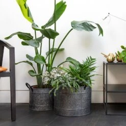 Round Troughs With Blackened Handles - Set Of 2 -Ever Bloom Gardens pr2000037523 card4 lg