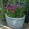 Oval Zinc Dolly Tub Pot 1 Oval Zinc Dolly Tub Pot -Ever Bloom Gardens pr2000037524