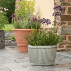 Oval Zinc Dolly Tub Pot -Ever Bloom Gardens pr2000037524 card3 lg