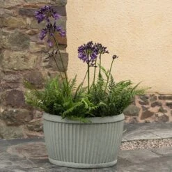Oval Zinc Dolly Tub Pot -Ever Bloom Gardens pr2000037524 card6 lg
