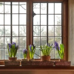 Ever Bloom Gardens -Ever Bloom Gardens pr2000037537 card2 lg