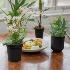 Charcoal Metal Plant Pot Cover With Enamel Interior -Ever Bloom Gardens pr2000037568 card5 lg