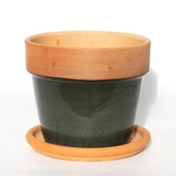 Natural Terracotta Saucer -Ever Bloom Gardens pr2000037584 card3 lg