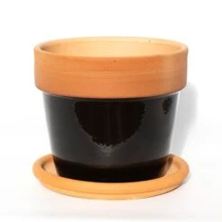 Natural Terracotta Saucer -Ever Bloom Gardens pr2000037584 card4 lg