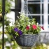 Slate Faux Rattan Hanging Basket 1 Slate Faux Rattan Hanging Basket -Ever Bloom Gardens pr2000037974
