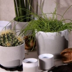Cement Style Plant Pot - Light Grey -Ever Bloom Gardens pr2000038169 card2 lg
