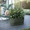 Greenville Terrace Trough On Wheels - Green -Ever Bloom Gardens pr2000038221