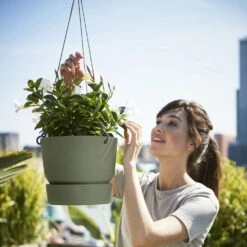 Greenville Hanging Basket Green -Ever Bloom Gardens pr2000038231 card4 lg