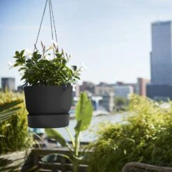 Greenville Hanging Basket Black -Ever Bloom Gardens pr2000038232 card3 lg