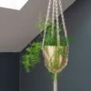 Macrame Hanger With Brushed Brass Pot -Ever Bloom Gardens pr2000038571