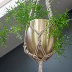 Macrame Hanger With Brushed Brass Pot -Ever Bloom Gardens pr2000038571 card3 lg