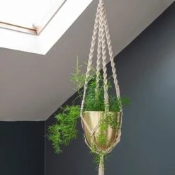 Macrame Hanger With Brushed Brass Pot -Ever Bloom Gardens pr2000038571 card4 lg