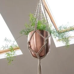 Macrame Hanger With Brushed Copper Pot -Ever Bloom Gardens pr2000038572 card5 lg