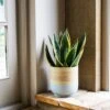 Bamboo Grey Planter -Ever Bloom Gardens pr2000038931