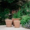 Conical Italian Terracotta Pot -Ever Bloom Gardens pr2000040882