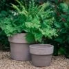 Perfetto Grey Italian Terracotta Planter 1 Perfetto Grey Italian Terracotta Planter -Ever Bloom Gardens pr2000040886
