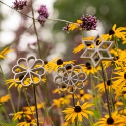 Plant/bulb Marking Stake - Daisy -Ever Bloom Gardens pr2000041717 card5 lg