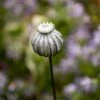 Perennial Plant/bulb Marking Stake Poppy Seed Head -Ever Bloom Gardens pr2000041720