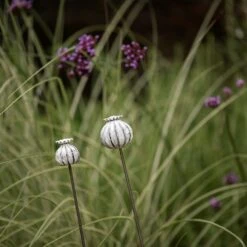 Perennial Plant/bulb Marking Stake Poppy Seed Head -Ever Bloom Gardens pr2000041720 card5 lg