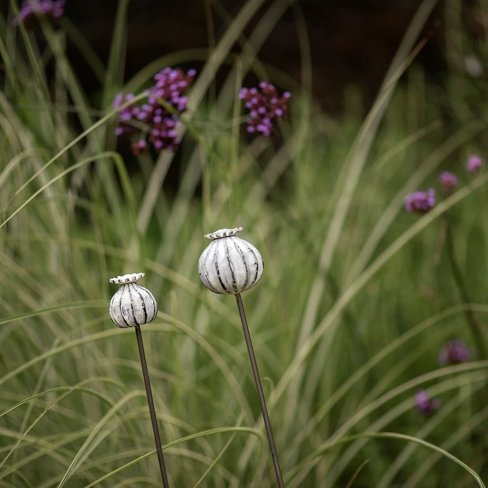 Ever Bloom Gardens -Ever Bloom Gardens pr2000041720 card5 lg