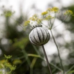 Perennial Plant/bulb Marking Stake Poppy Seed Head -Ever Bloom Gardens pr2000041720 card7 lg