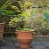 Thrapsano Terracotta Pot -Ever Bloom Gardens pr2000042800