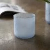 Frosted Glass Plant Pot - Light Blue -Ever Bloom Gardens pr2000043087