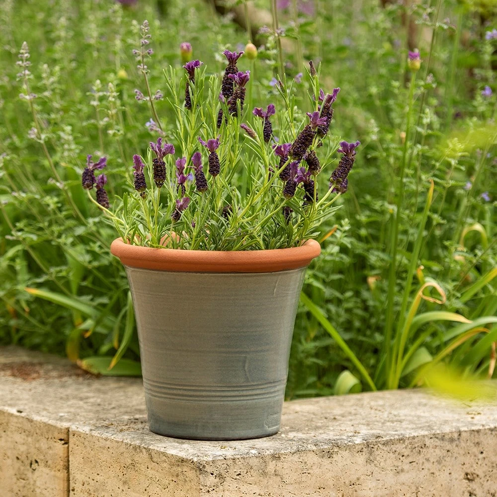 Grey Kitchen Planter 6 Grey Kitchen Planter - Image 4