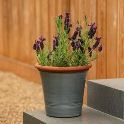 Grey Kitchen Planter 16 Grey Kitchen Planter -Ever Bloom Gardens pr2000044988 card7 lg