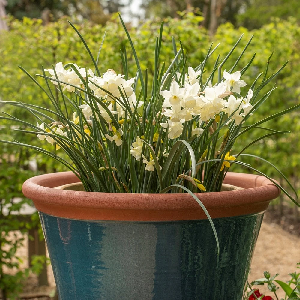 Dark Teal Kitchen Planter 5 Dark Teal Kitchen Planter - Image 3