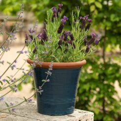 Dark Teal Kitchen Planter 15 Dark Teal Kitchen Planter -Ever Bloom Gardens pr2000044992 card6 lg