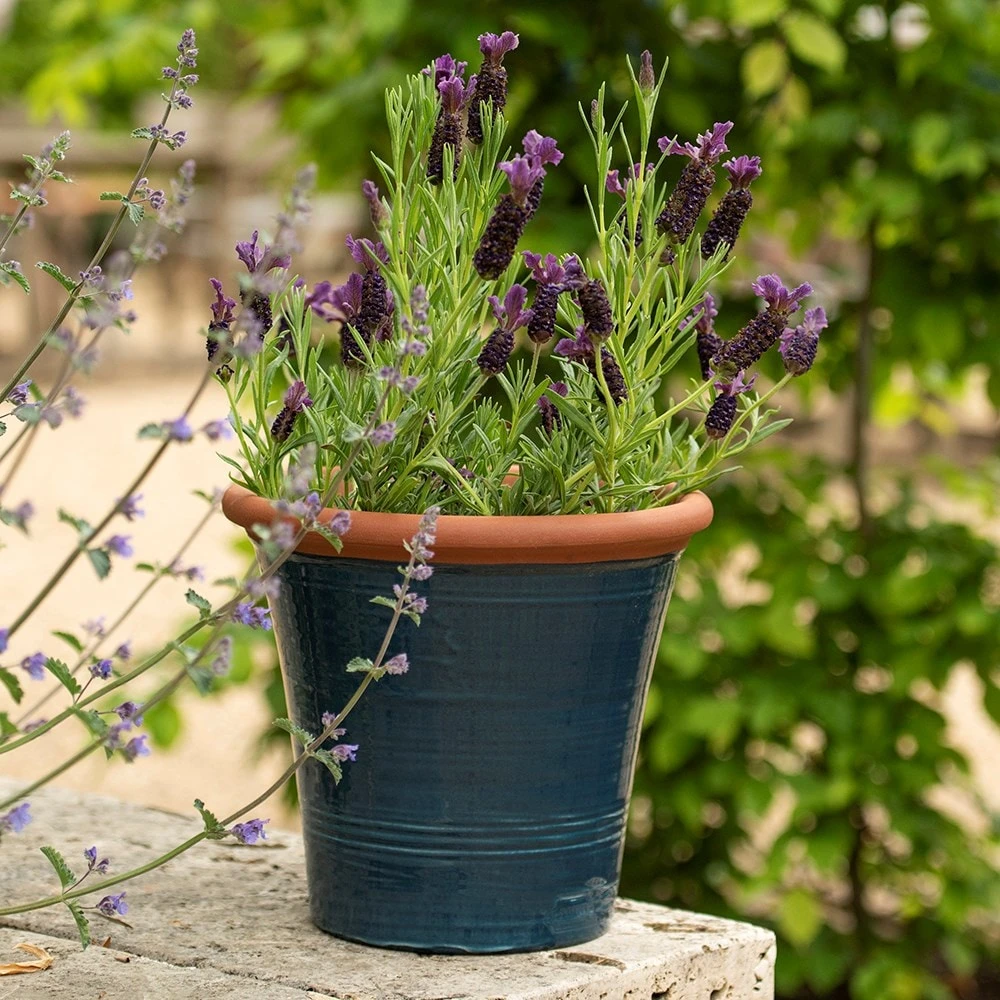 Dark Teal Kitchen Planter 8 Dark Teal Kitchen Planter - Image 6
