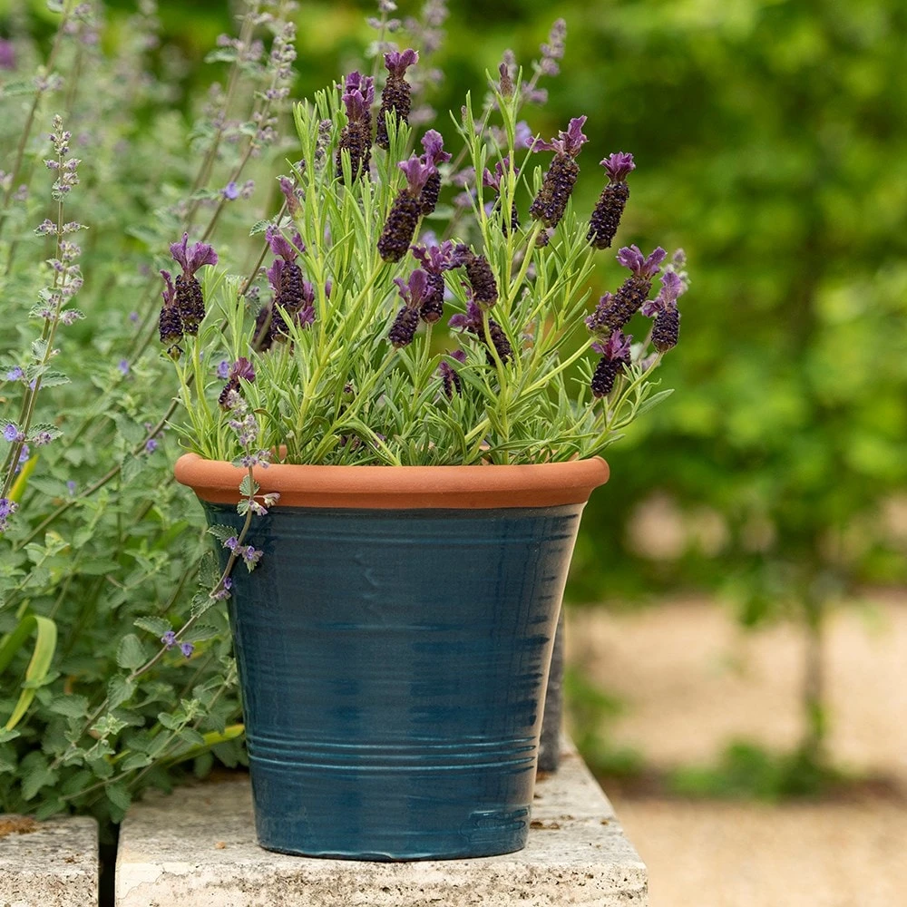 Dark Teal Kitchen Planter 9 Dark Teal Kitchen Planter - Image 7