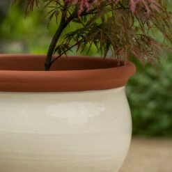 Ivory Bellied Planter -Ever Bloom Gardens pr2000045026 card3 lg