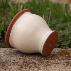 Ivory Bellied Planter -Ever Bloom Gardens pr2000045026 card4 lg