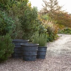 Greystoke Ribbed Planter - Aged Zinc -Ever Bloom Gardens pr2000046295 card5 lg