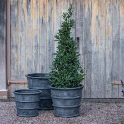 Greystoke Ribbed Planter - Aged Zinc -Ever Bloom Gardens pr2000046295 card6 lg