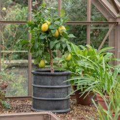 Greystoke Barrel Planter 18 Greystoke Barrel Planter -Ever Bloom Gardens pr2000046297 card7 lg