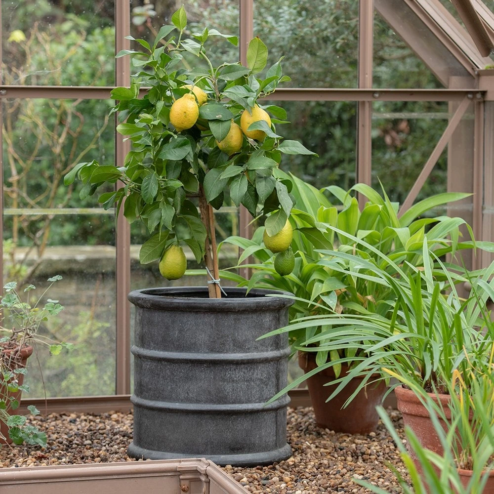 Greystoke Barrel Planter 9 Greystoke Barrel Planter - Image 7