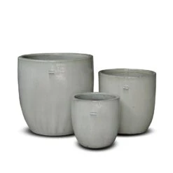 Glazed Ceramic Pot - White -Ever Bloom Gardens pr2000046300 card4 lg