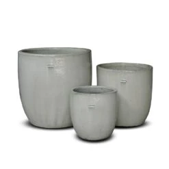 Glazed Ceramic Pot - White -Ever Bloom Gardens pr2000046300 card9 lg