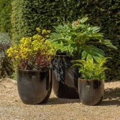 Glazed Ceramic Pot - Misty Black -Ever Bloom Gardens pr2000046301 card3 lg